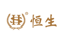 广东恒生会计师事务所