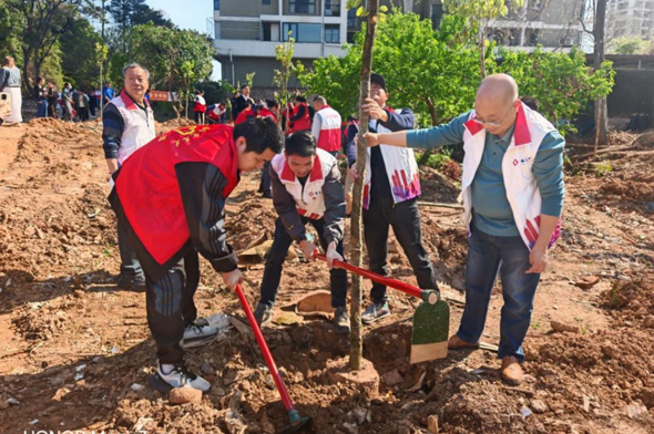 共筑绿美生态，注协在行动——广东省多地注协开展植树共建活动
